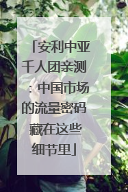 安利中亚千人团亲测：中国市场的流量密码 藏在这些细节里