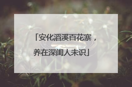 安化滔溪百花寨，养在深闺人未识