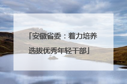 安徽省委：着力培养选拔优秀年轻干部