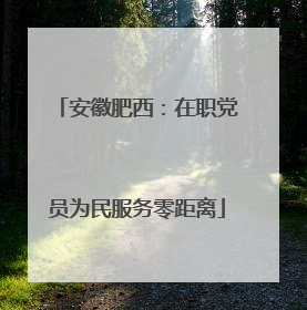 安徽肥西：在职党员为民服务零距离