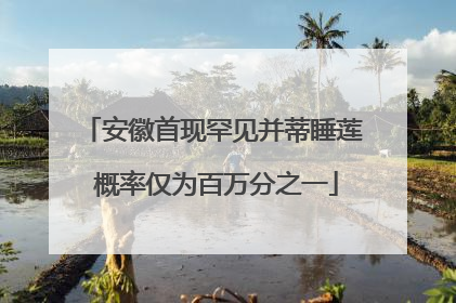 安徽首现罕见并蒂睡莲 概率仅为百万分之一