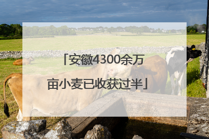 安徽4300余万亩小麦已收获过半
