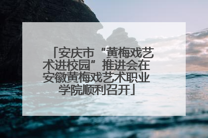 安庆市“黄梅戏艺术进校园”推进会在安徽黄梅戏艺术职业学院顺利召开