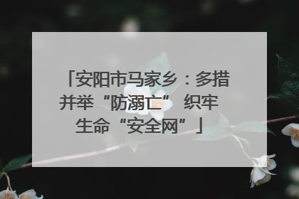 安阳市马家乡：多措并举“防溺亡” 织牢生命“安全网”