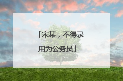 宋某，不得录用为公务员