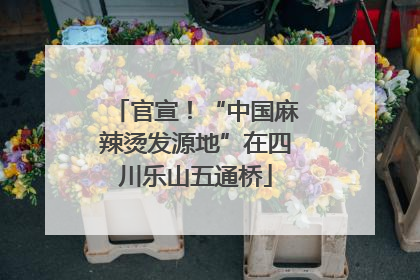 官宣！“中国麻辣烫发源地”在四川乐山五通桥