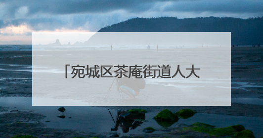 宛城区茶庵街道人大代表在行动：弘扬中医文化 把脉基层健康