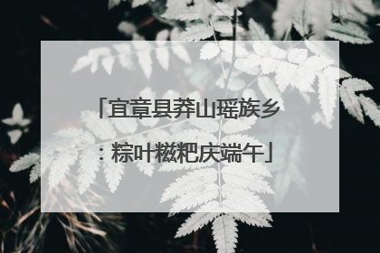 宜章县莽山瑶族乡：粽叶糍粑庆端午