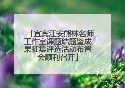 宜宾江安熊林名师工作室课题结题暨成果征集评选活动布置会顺利召开