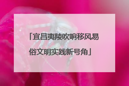 宜昌夷陵吹响移风易俗文明实践新号角