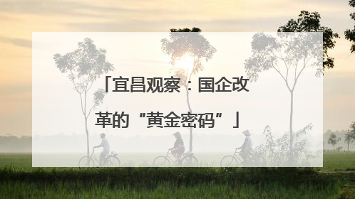 宜昌观察：国企改革的“黄金密码”