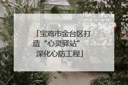 宝鸡市金台区打造“心灵驿站” 深化心防工程