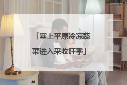 塞上平原冷凉蔬菜进入采收旺季