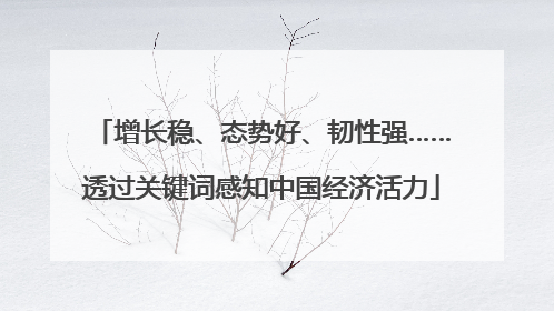 增长稳、态势好、韧性强……透过关键词感知中国经济活力