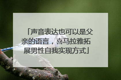 声音表达也可以是父亲的语言，喜马拉雅拓展男性自我实现方式