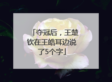 夺冠后，王楚钦在王皓耳边说了5个字