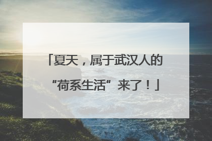 夏天，属于武汉人的“荷系生活”来了！