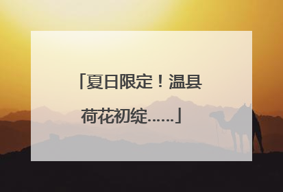 夏日限定！温县荷花初绽……