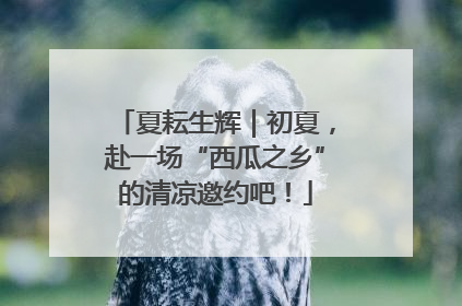 夏耘生辉｜初夏，赴一场“西瓜之乡”的清凉邀约吧！