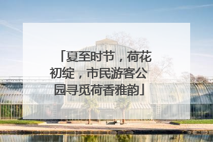 夏至时节，荷花初绽，市民游客公园寻觅荷香雅韵