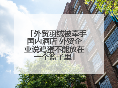 外贸羽绒被牵手国内酒店 外贸企业说鸡蛋不能放在一个篮子里