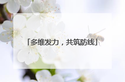多维发力，共筑防线