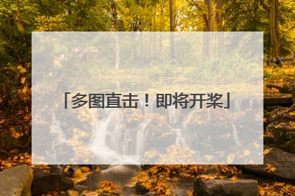多图直击！即将开桨