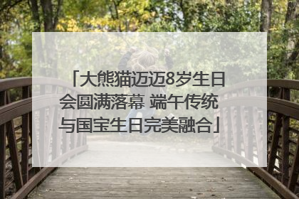 大熊猫迈迈8岁生日会圆满落幕 端午传统与国宝生日完美融合
