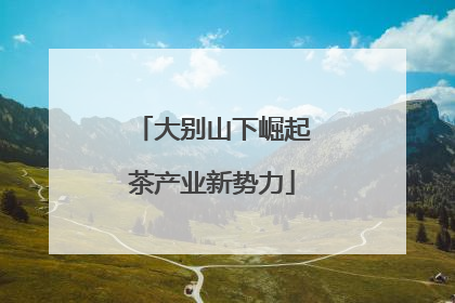 大别山下崛起茶产业新势力