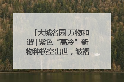 大城名园 万物和谐│紫色“高冷”新物种横空出世，皱褶叶片暗藏进化密码