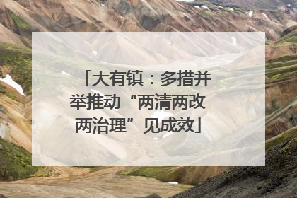 大有镇：多措并举推动“两清两改两治理”见成效
