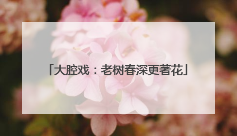 大腔戏：老树春深更著花