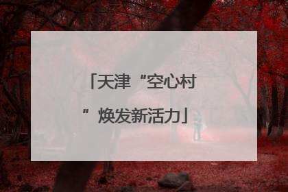 天津“空心村”焕发新活力