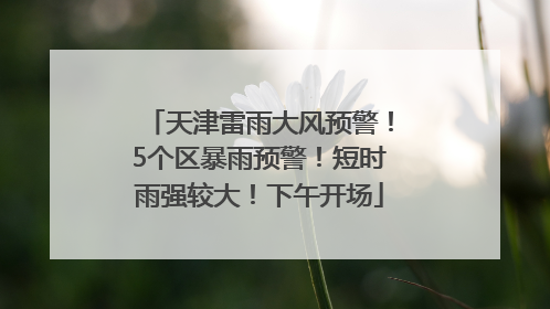 天津雷雨大风预警！5个区暴雨预警！短时雨强较大！下午开场