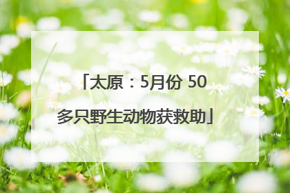 太原：5月份 50多只野生动物获救助