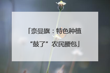 奈曼旗：特色种植“鼓了”农民腰包