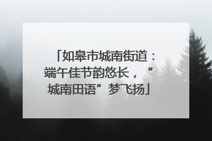 如皋市城南街道：端午佳节韵悠长，“城南田语”梦飞扬