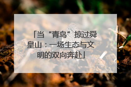 当“青鸟”掠过舜皇山：一场生态与文明的双向奔赴