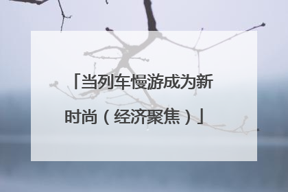 当列车慢游成为新时尚（经济聚焦）