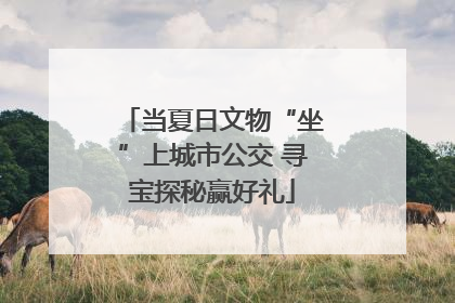 当夏日文物“坐”上城市公交 寻宝探秘赢好礼