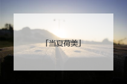 当夏荷美