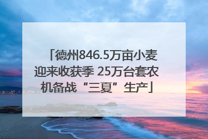 德州846.5万亩小麦迎来收获季 25万台套农机备战“三夏”生产
