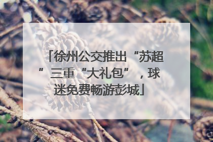 徐州公交推出“苏超”三重“大礼包”，球迷免费畅游彭城