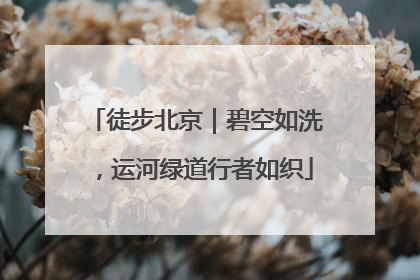 徒步北京｜碧空如洗，运河绿道行者如织