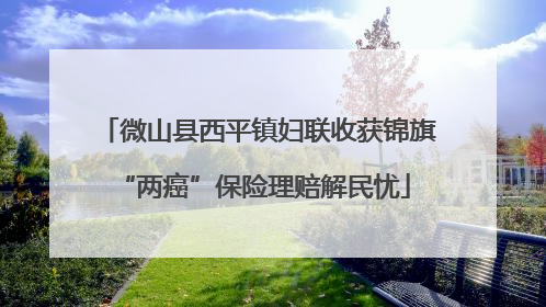 微山县西平镇妇联收获锦旗 “两癌”保险理赔解民忧