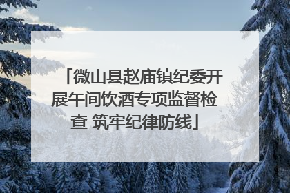 微山县赵庙镇纪委开展午间饮酒专项监督检查 筑牢纪律防线