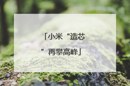 小米“造芯”再攀高峰