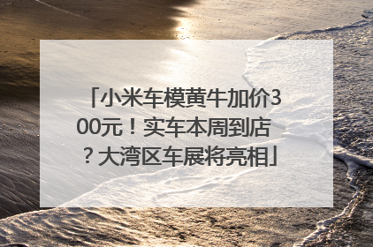 小米车模黄牛加价300元！实车本周到店？大湾区车展将亮相