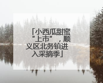 小西瓜甜蜜“上市”，顺义区北务镇进入采摘季