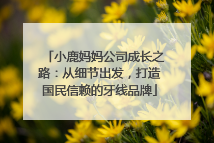 小鹿妈妈公司成长之路：从细节出发，打造国民信赖的牙线品牌